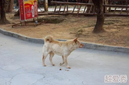 强要h近日一项研究显示新鲜事对心理健康有积极影响