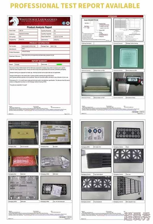 日本XXXXWWWW项目最新进展顺利四个核心模块已完成初步测试