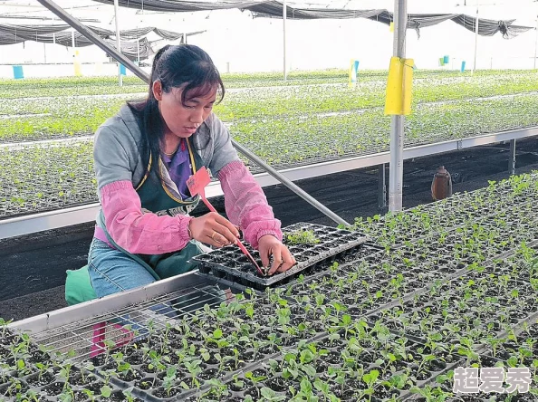 婷婷色青基地种植基地建设已完成第一阶段现开放参观