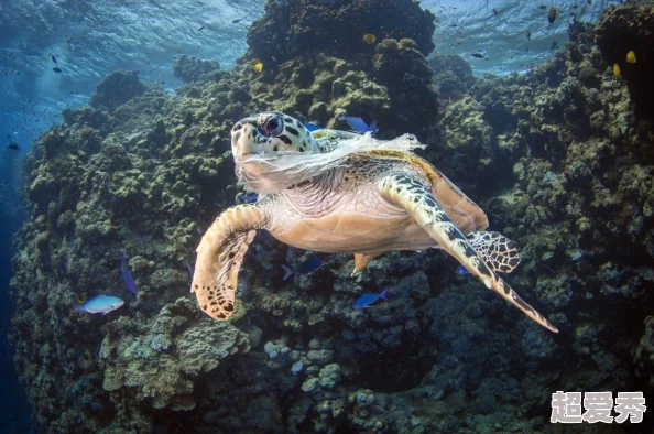 两洞齐开近日科学家在深海发现新型生物，揭示了海洋生态系统的神秘面貌