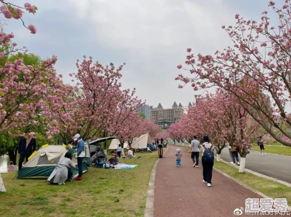 春风又绿江南岸全红和平2023年春季江南地区迎来盛大的樱花节吸引了众多游客前来观赏