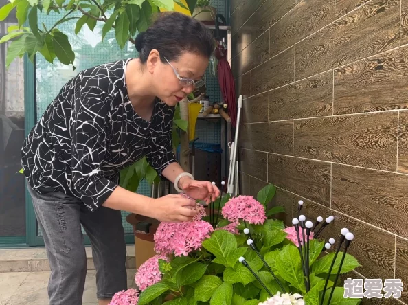 中国老太丰满毛耸耸家中养花种草安享晚年生活乐趣多