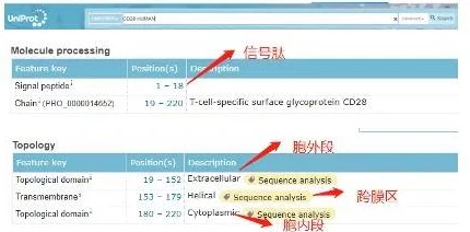 色视频网站免费访问受限维护中预计24小时内恢复