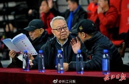 惊喜揭晓！武当职业华山论剑3V3最强阵容搭配推荐，助你轻松夺冠秘籍！